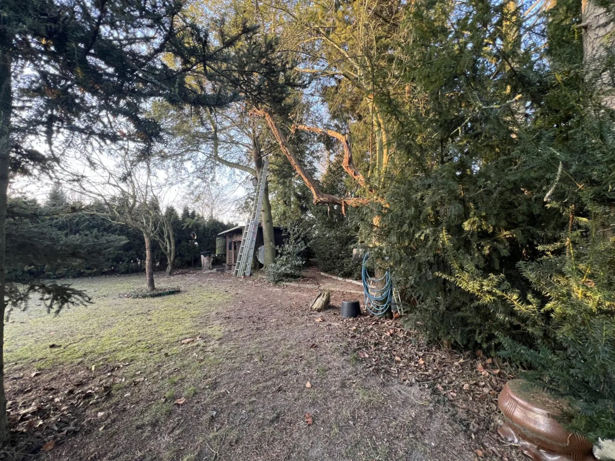 Gartenfläche