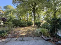 Gartenfläche