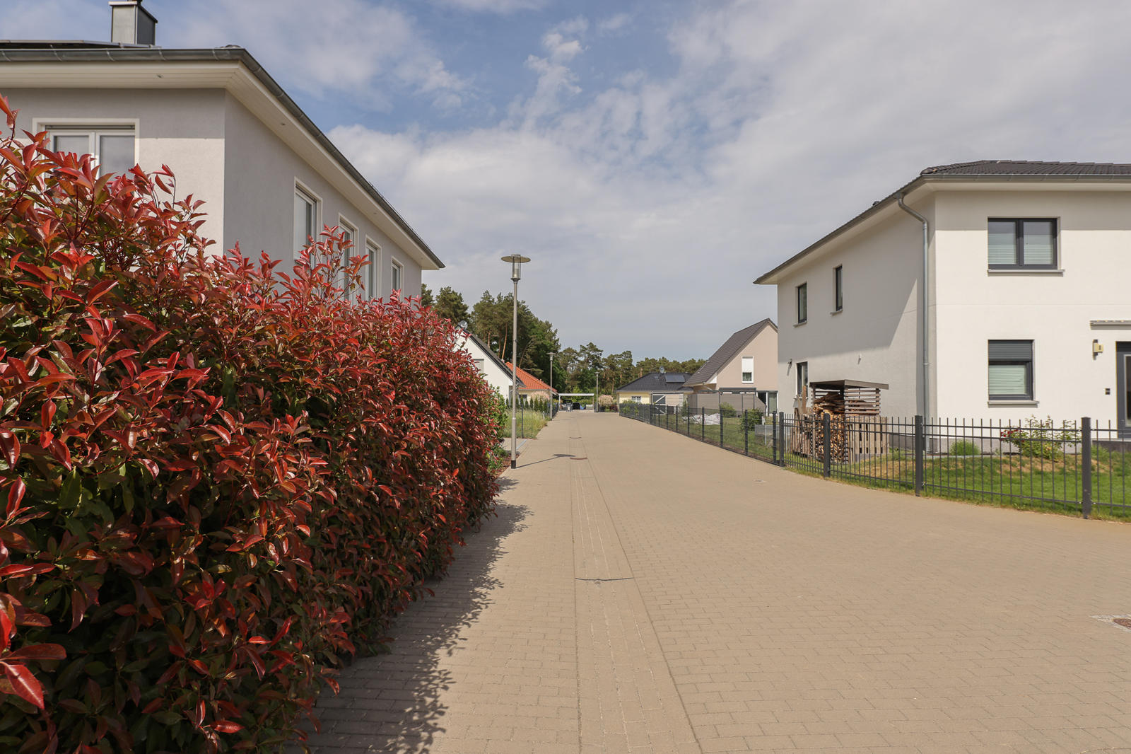 Gimpelweg