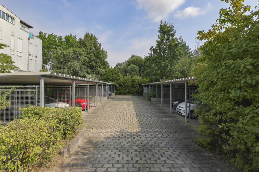 Zufahrt Carport